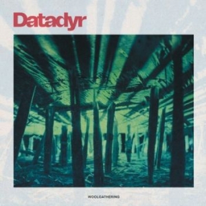 Datadyr - Woolgathering (Red) ryhmässä VINYYLI @ Bengans Skivbutik AB (4163066)