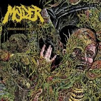 Molder - Engrossed In Decay (Vinyl Lp) ryhmässä VINYYLI @ Bengans Skivbutik AB (4163916)