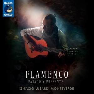 Monteverde Ignacio Lusardi - Flamenco - Pasado Y Presente ryhmässä CD @ Bengans Skivbutik AB (4163964)