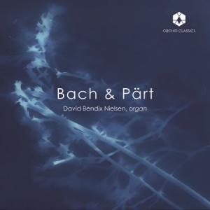 Bach Johann Sebastian Pärt Arvo - Bach & Pärt ryhmässä ME SUOSITTELEMME / Joululahjavinkki: CD @ Bengans Skivbutik AB (4163966)