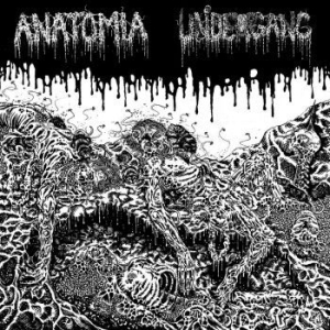 Undergang / Anatomia - Split Lp ryhmässä VINYYLI @ Bengans Skivbutik AB (4164533)