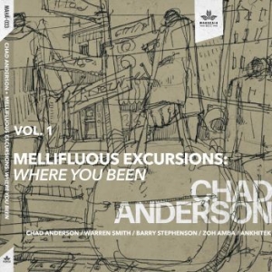 Anderson Chad - Mellifluous Excursions Vol. 1 - Whe ryhmässä CD @ Bengans Skivbutik AB (4164558)