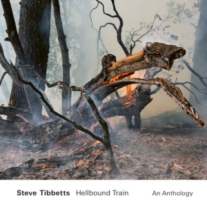 Tibbetts Steve - Hellbound Train - An Anthology (2Cd ryhmässä CD @ Bengans Skivbutik AB (4166066)