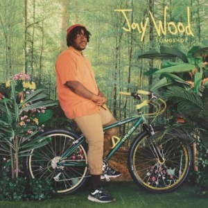 Jaywood - Slingshot (Canary Yellow Vinyl) ryhmässä VINYYLI / Pop-Rock @ Bengans Skivbutik AB (4167471)