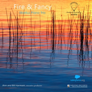 David Lefkowitz Diego Schissi - Fire & Fancy (Vinyl) ryhmässä VINYYLI @ Bengans Skivbutik AB (4170769)