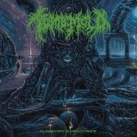 Tomb Mold - Planetary Clairvoyance (Vinyl) ryhmässä VINYYLI @ Bengans Skivbutik AB (4171456)