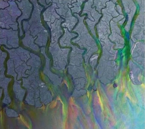 Alt-J - An Awesome Wave ryhmässä CD @ Bengans Skivbutik AB (4171506)