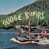 Boyscott - Goose Bumps (Dark Blue & Powder Blu ryhmässä VINYYLI @ Bengans Skivbutik AB (4173990)