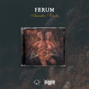 Ferum - Asunder / Erode ryhmässä CD @ Bengans Skivbutik AB (4179468)