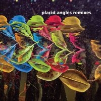 Placid Angles - Touch The Earth Remixes ryhmässä VINYYLI @ Bengans Skivbutik AB (4179704)