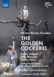 Rimsky-Korsakov Nikolay - The Golden Cockerel (Dvd) ryhmässä DVD & BLU-RAY @ Bengans Skivbutik AB (4180843)