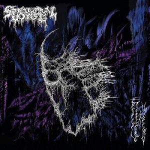 Spectral Voice - Eroded Corridors Of Unbeing (Black ryhmässä VINYYLI @ Bengans Skivbutik AB (4184575)