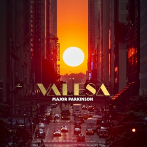 Major Parkinson - Valesa (Orange) ryhmässä ME SUOSITTELEMME / Joululahjavinkki: Vinyyli @ Bengans Skivbutik AB (4185168)