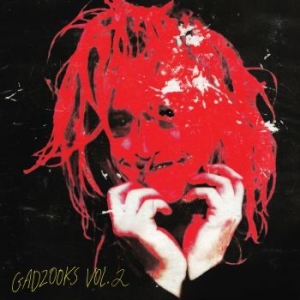 Caleb Landry Jones - Gadzooks Vol. 2 (Ltd Red Vinyl) ryhmässä VINYYLI @ Bengans Skivbutik AB (4191732)