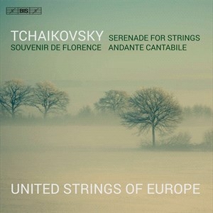 Tchaikovsky Pyotr Ilyich - Serenade ryhmässä Musiikki / SACD / Klassiskt @ Bengans Skivbutik AB (4192137)