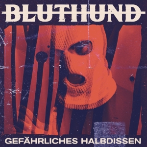 Bluthund - Gefahrliches Halbdissen ryhmässä CD @ Bengans Skivbutik AB (4194688)