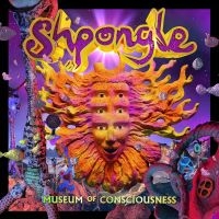 SHPONGLE - MUSEUM OF CONSCIOUSNESS ryhmässä VINYYLI @ Bengans Skivbutik AB (4196381)