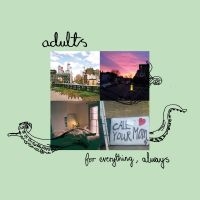 Adults - For Everything, Always ryhmässä VINYYLI @ Bengans Skivbutik AB (4200321)