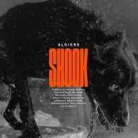 Algiers - Shook ryhmässä VINYYLI @ Bengans Skivbutik AB (4201706)