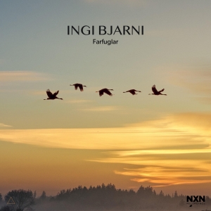 Ingi Bjarni - Farfuglar ryhmässä CD @ Bengans Skivbutik AB (4205933)