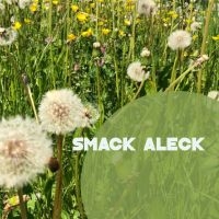 Smack Aleck - Unavoidable ryhmässä CD @ Bengans Skivbutik AB (4208155)