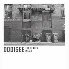 Oddisee - The Beauty In All (Indie Exclusive, ryhmässä ME SUOSITTELEMME / Joululahjavinkki: Vinyyli @ Bengans Skivbutik AB (4208414)