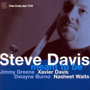 Davis Steve - Meant To Be ryhmässä CD @ Bengans Skivbutik AB (4212605)