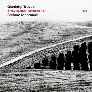 Trovesi Gianluigi Montanari Stef - Stravaganza Consonanti ryhmässä CD @ Bengans Skivbutik AB (4218221)