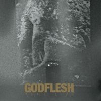 Godflesh - Pure: Live (2 Lp Splatter Vinyl) ryhmässä VINYYLI @ Bengans Skivbutik AB (4218857)