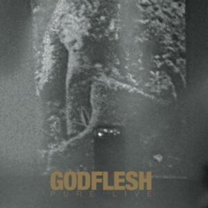 Godflesh - Pure: Live (2 Lp Splatter Vinyl) ryhmässä VINYYLI @ Bengans Skivbutik AB (4218857)