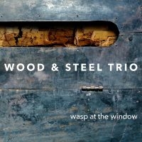 Wood & Steel Trio - Wasp At The Window ryhmässä CD @ Bengans Skivbutik AB (4222008)