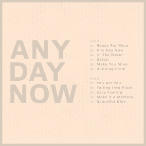 Krezip - Any Day Now ryhmässä ME SUOSITTELEMME / Joululahjavinkki: Vinyyli @ Bengans Skivbutik AB (4222169)