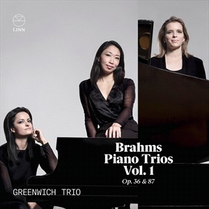 Brahms Johannes - Piano Trios Vol. 1, Op. 36 & 87 ryhmässä CD @ Bengans Skivbutik AB (4223638)