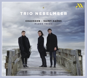 Trio Nebelmeer - Chausson - Saint-Saens Piano Trios ryhmässä CD @ Bengans Skivbutik AB (4224875)