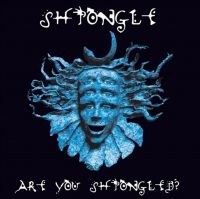 SHPONGLE - ARE YOU SHPONGLED? ryhmässä VINYYLI @ Bengans Skivbutik AB (4225314)