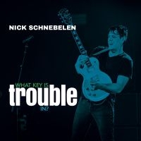 Schnebelen Nick - What Key Is Trouble In? ryhmässä CD @ Bengans Skivbutik AB (4225613)