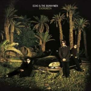 Echo And The Bunnymen - Evergreen ryhmässä CD @ Bengans Skivbutik AB (4225614)