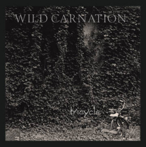 Wild Carnation - Tricycle (Carnation White Vinyl) (Rsd) ryhmässä ME SUOSITTELEMME / Record Store Day / RSD2023 @ Bengans Skivbutik AB (4227973)