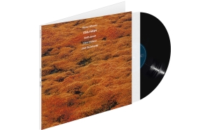 Kenny Wheeler - Gnu High (Luminessence-Series Lp) ryhmässä VINYYLI @ Bengans Skivbutik AB (4233273)