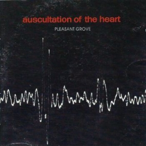 Pleasant Grove - Auscultation Of The Heart ryhmässä VINYYLI @ Bengans Skivbutik AB (4233330)