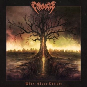 Chronicle - Where Chaos Thrives ryhmässä CD @ Bengans Skivbutik AB (4233637)