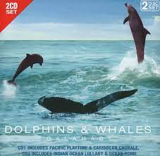 Dolphins & Whales - Pacific Playtime-Caribbean Chorale Mfl ryhmässä CD @ Bengans Skivbutik AB (4237802)