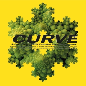 Curve - Fait Accompli (Extended) ryhmässä VINYYLI @ Bengans Skivbutik AB (4239822)