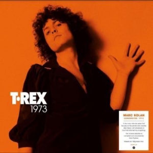 T. Rex - Songwriter: 1973 ryhmässä VINYYLI / Pop-Rock @ Bengans Skivbutik AB (4242586)