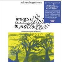 Vandroogenbroeck Joel - Images Of Flute In Nature ryhmässä VINYYLI @ Bengans Skivbutik AB (4244974)