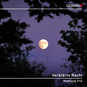 Schoenberg Arnold Schubert Franz - Verklarte Nacht ryhmässä CD @ Bengans Skivbutik AB (4248701)