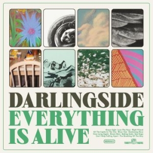 Darlingside - Everything Is Alive ryhmässä CD @ Bengans Skivbutik AB (4249682)