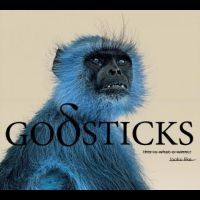 Godsticks - This Is What A Winner Looks Like ryhmässä VINYYLI @ Bengans Skivbutik AB (4256013)