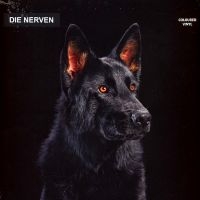 Die Nerven - Die Nerven (Transparent Orange Viny ryhmässä VINYYLI @ Bengans Skivbutik AB (4256017)