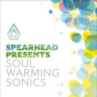 Various Artists - Soul Warming Sonics ryhmässä VINYYLI @ Bengans Skivbutik AB (4258088)